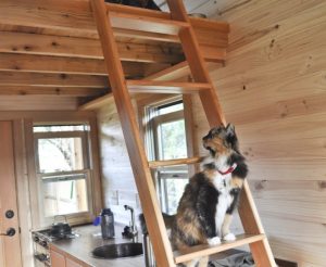 Loft ladder, kitchen and tiny house cat. Photo by Tammy Strobel