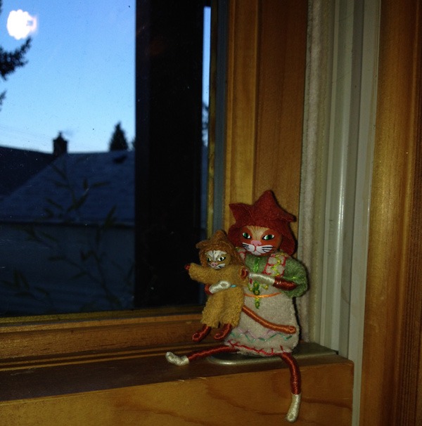 Window Elf - Photo by Dee Williams