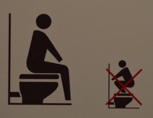 Japanese toilet lesson