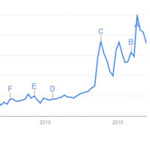 Google Trend for tiny houses