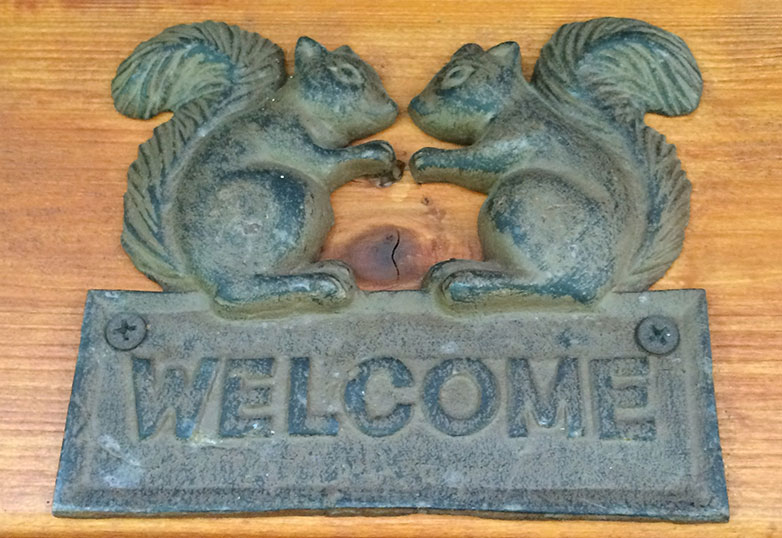 welcome-squirrels